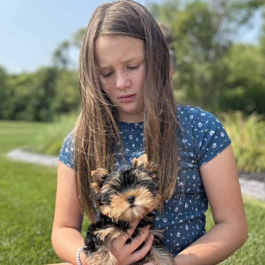 Happy family with their Yorkie puppy